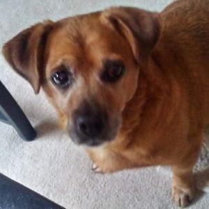 Meet your Posher, Fran